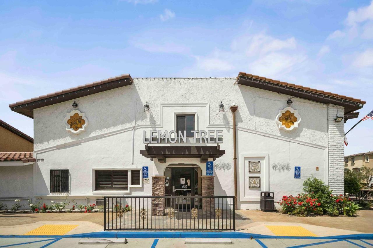 The Lemon Tree Hotel Anaheim Exterior foto